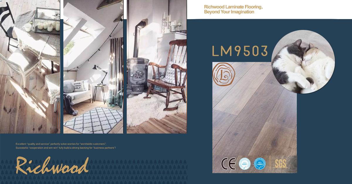 LM9503, new color style for laminate flooring